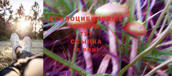 гидра Алексеевка