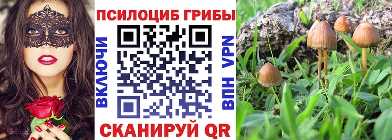 mega ссылки  Кола  Галлюциногенные грибы мухоморы 